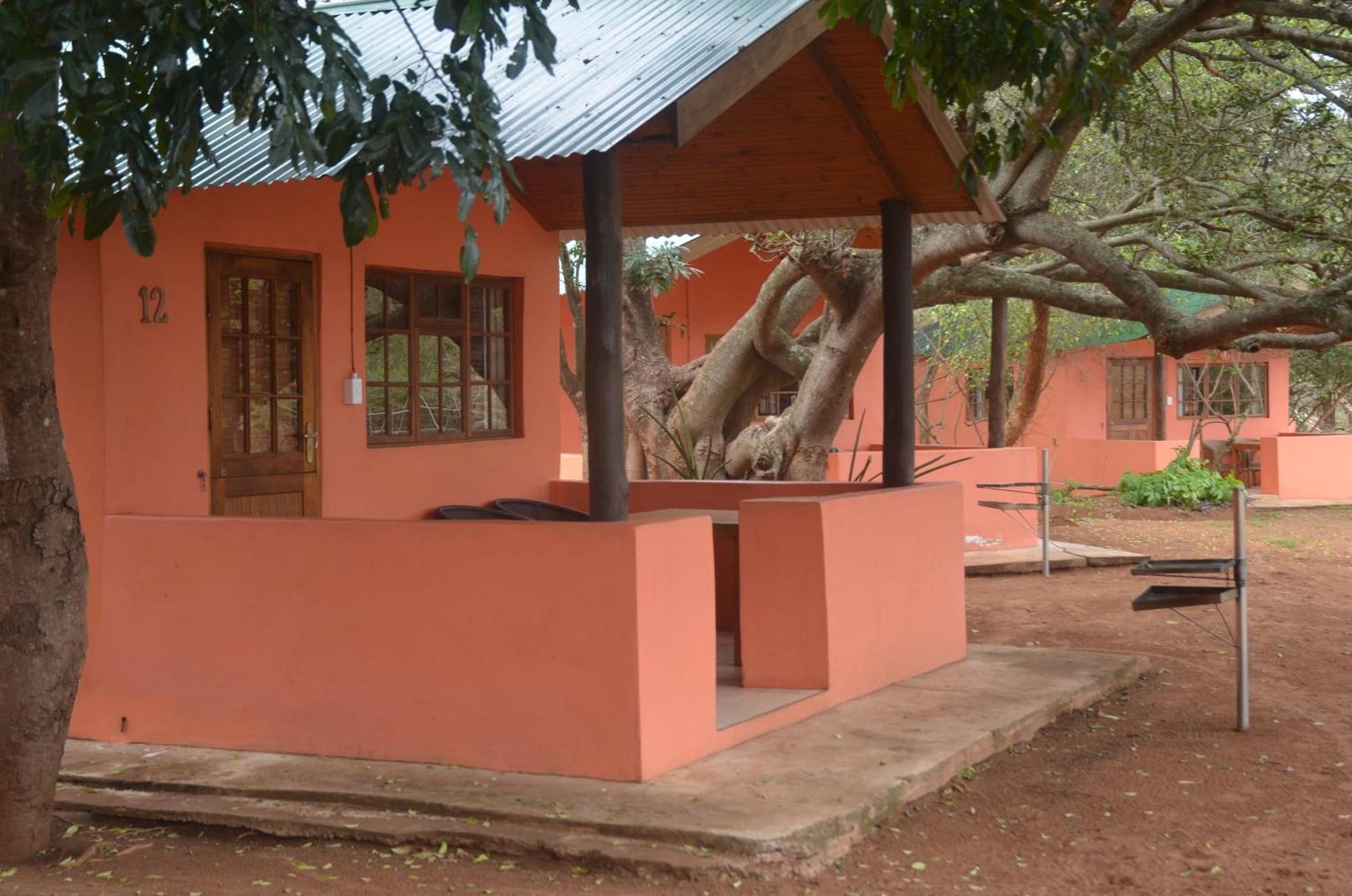 Bushbaby Lodge & Camping ฮลูฮลูเว ห้อง รูปภาพ