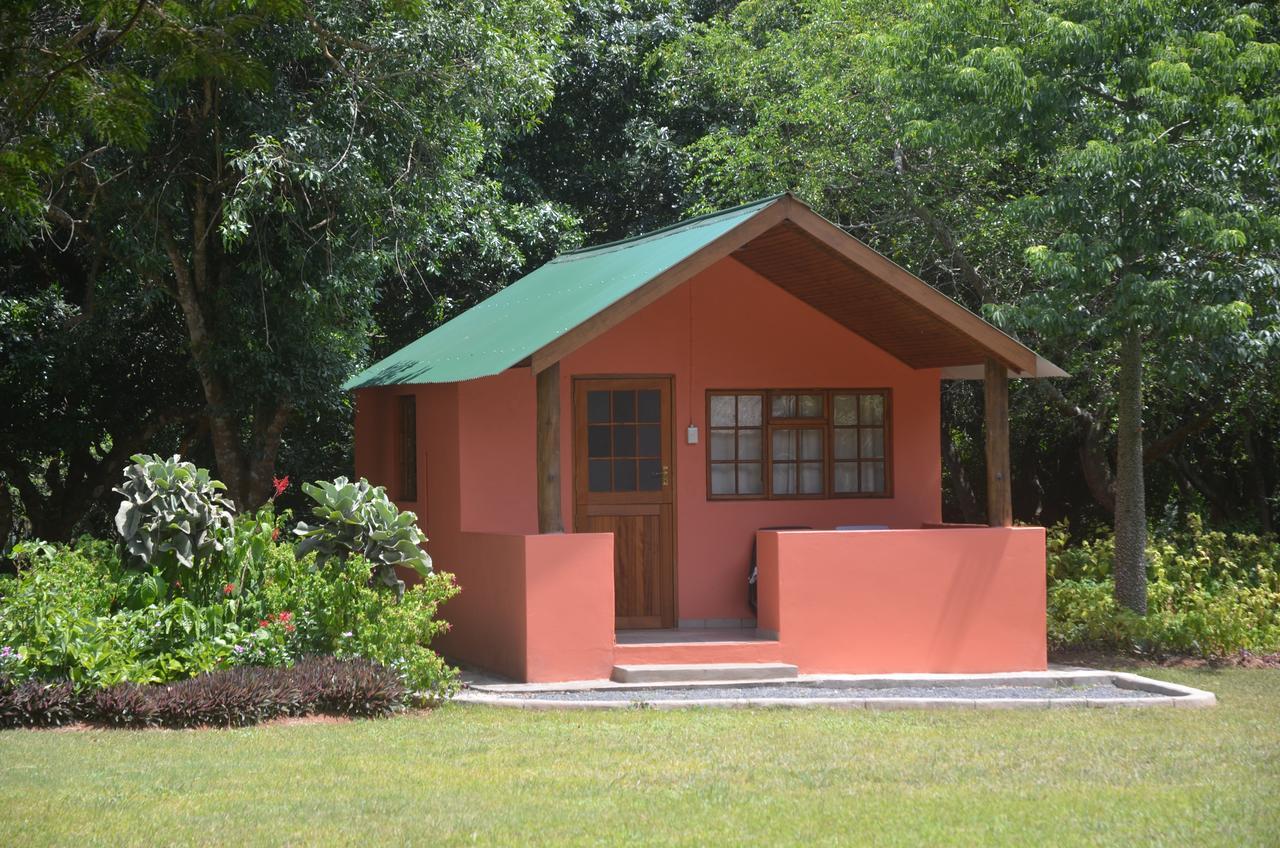 Bushbaby Lodge & Camping ฮลูฮลูเว ภายนอก รูปภาพ